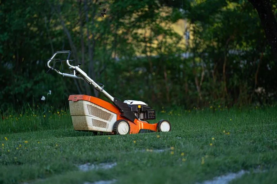 Planting in Hanover, MD