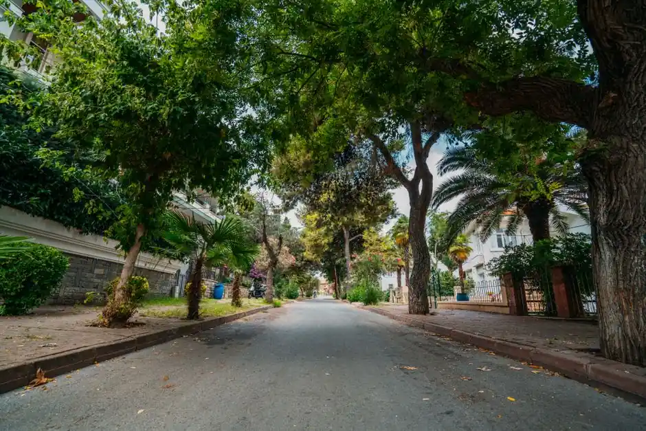 Stump Removal / Grinding in Hanover, MD