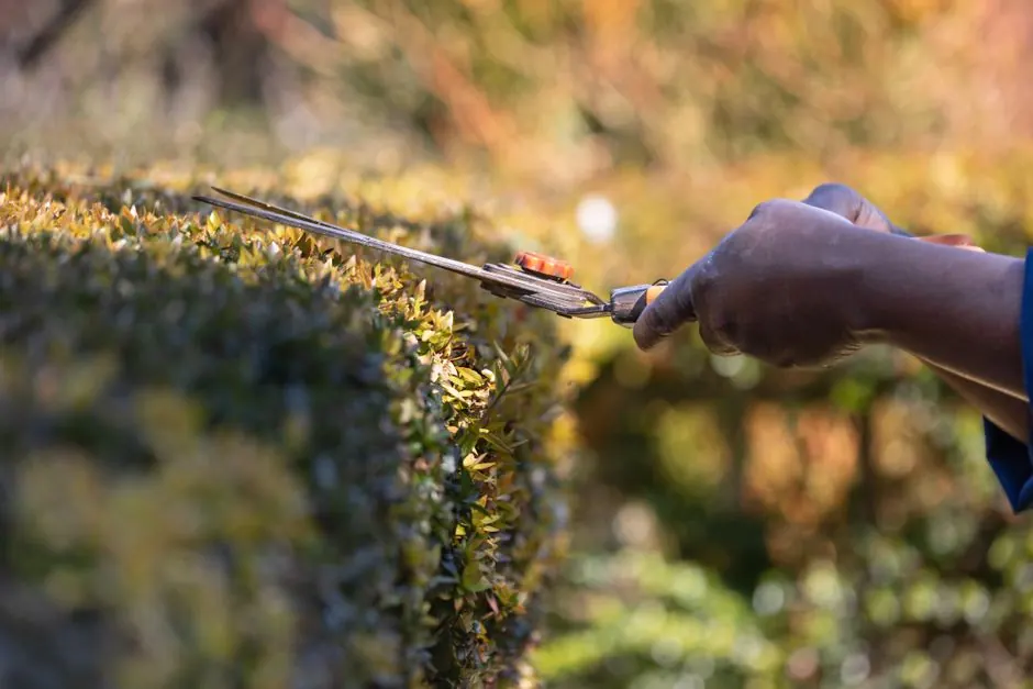 Complete Tree & Landscape technicians