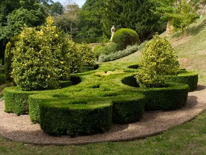 Landscape Maintenance